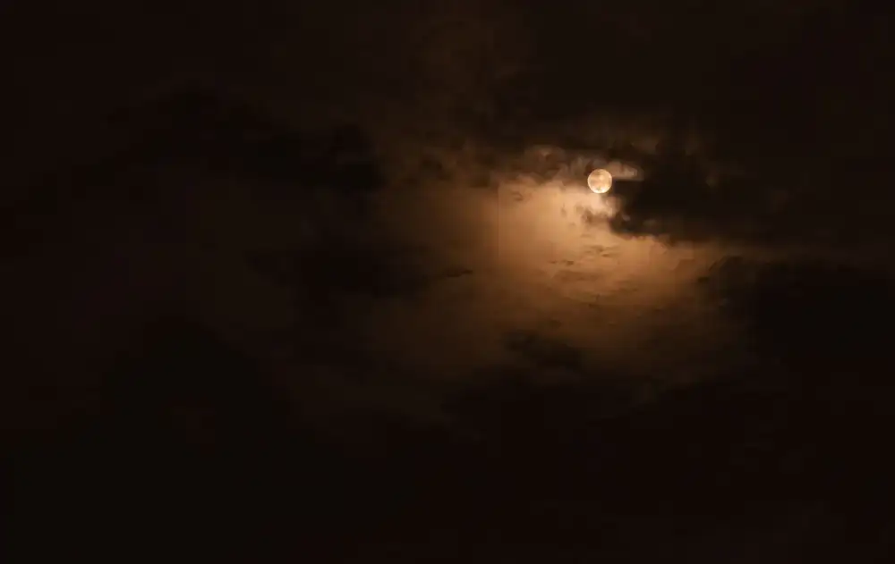 ককপিট ভিউ এবং লিগ রেস